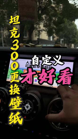 坦克300壁纸还是自定义的好看#坦克300 #汽车壁纸 #车机壁纸