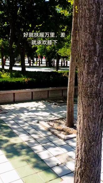 学习好就扶摇万里,学习差就承欢膝下,条条大路通罗马