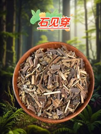 石见穿 #石见穿#纯天然#无添加#精品干货#大自然的馈赠