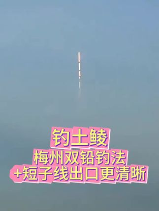 梅州双铅钓土鲮,会不会更加灵敏一点#双铅线组 #双铅钓法 #钓鱼 #钓鱼的乐趣只有钓鱼人懂 #钓鱼人