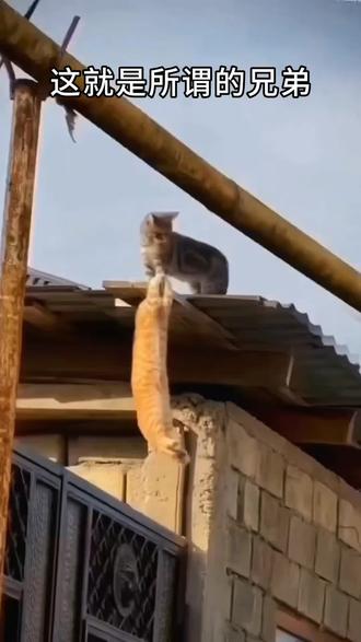 时间是最平凡的。也是最珍贵的。金钱买不到它。地位留不住他。每个人的生命都是有限的。它一分一秒,稍纵即逝。与其每天长吁短叹,不如将其牢牢把握。在有限的时间。获得最大的自由,最洒脱的幸福……