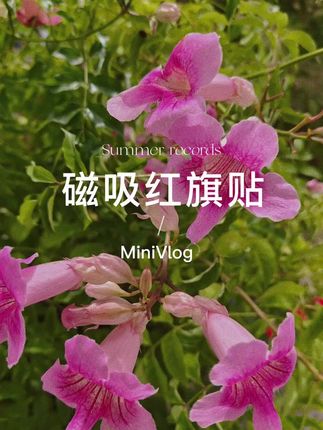 夸孩子也是一门学问要用对方式,不然只能适得其反。#亲子教育 #育儿 #家庭教育 #父母课堂 #干货分享