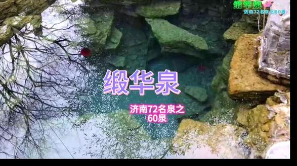 #每日一泉#济南72名泉 #济南72名泉之第60泉—缎华泉
