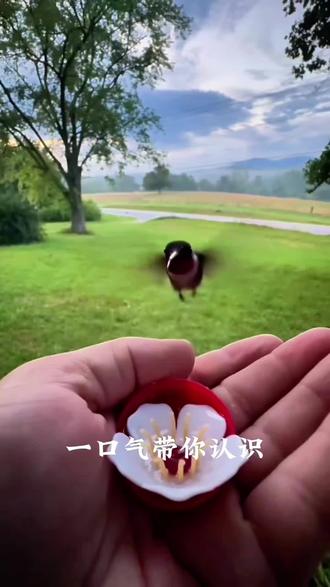 带你认识世界上最小的东西#科普知识 #涨知识