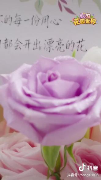 宝宝们,杨紫代言我的花园世界了,有好多新活动上线,快来参与吧!@我的花园世界 @杨紫 #杨紫代言我的花园世界#花园种花