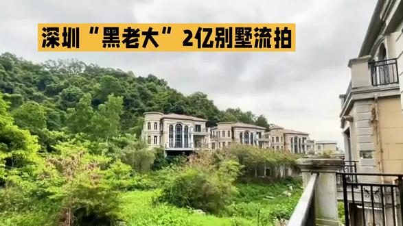 深圳黑老大2亿别墅流拍