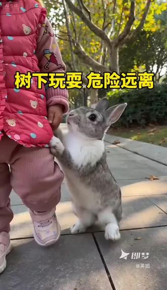 路边大树底下别久站
高空落物有危险
安全常识记心里
小小宝贝懂自保
#幼儿安全小课堂
封面大字:树下玩耍 注意安全