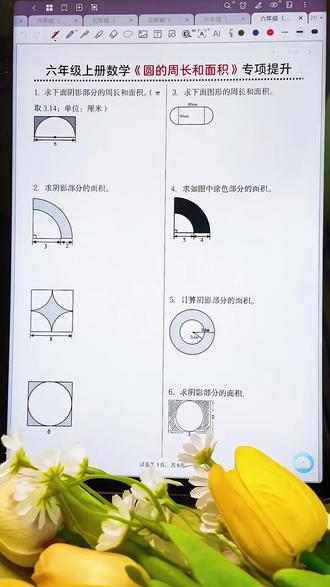 六年级上册数学圆的周长和面积专项提升练习#六年级#六年级上册数学 #圆 #必考考点 #周长