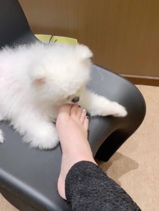 #重塑职业生涯