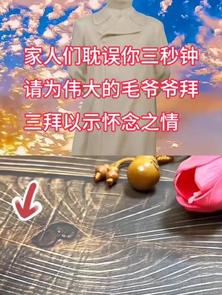 #缅怀先烈 毛爷爷#一代伟人永远在人民的心中 #历史人物