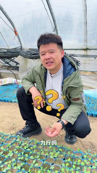 到底是几斤 三斤糖➕三斤盐➕三斤水到底多少斤#记录真实生活#记录农村生活 #记录我的农村生活