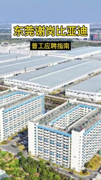 东莞谢岗比亚迪普工应聘指南来啦! #比亚迪招聘 #东莞谢岗比亚迪