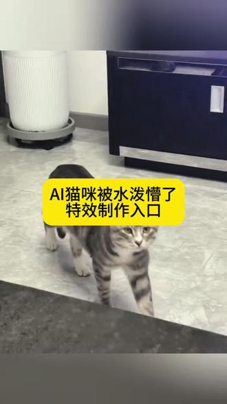 Ai被泼懵了特效制作教程#ai被泼懵了 #ai湿漉反光效果 #ai湿漉反光 #被泼懵了ai特效 #剪映 ai小宝贝 女孩被泼冷水完整视频 可爱小姑娘神态 往脸上泼水视频小孩 ai生成视频 ai亲子情特效展示 ai整蛊 老人看ai视频以为是真的 被ai整破防了 ai搞笑特效 ai合成搞笑视频 咋的了这是ai特效 被泼懵了ai怎么用 被泼懵了ai怎么拍 萌娃被泼懵了 小孩被泼懵了 宝宝被水泼懵了 ai泼水特效 AI水特效视频 ai被泼水 AI被吓了一大跳特效 萌宠被泼 猫咪被泼懵了 万物皆可泼