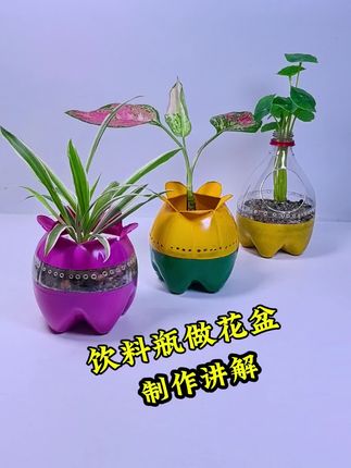 饮料瓶你有吧快来一起做好看的办公室花盆吧 #手工 #变废为宝#废物利用#空瓶子的妙用