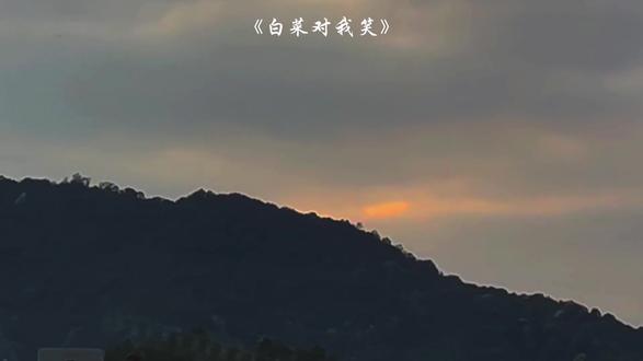 “白菜白菜对你笑”#音乐#白菜对我笑