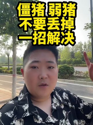 #猪价行情 #三农养猪 #所有养猪人 #每日价格播报 #养好猪