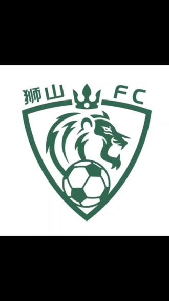 狮山FC17/18梯队全年总结@狮山FC #狮山FC#足球青训