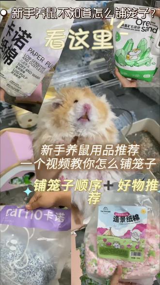 新手怎么铺笼子~顺序等好物推荐#养仓鼠经验分享 #金丝熊舍 #养鼠日常分享 #仓鼠 #金丝熊 @DOU+小助手 @抖音小助手