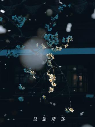 #广播剧 世上再无祝云璟#皇恩浩荡 慢播滴