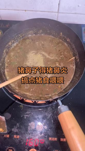 猪点猪食喂喂猪猪的猪鼻炎好了终于是轻松不少#鼻炎 #过敏性鼻炎