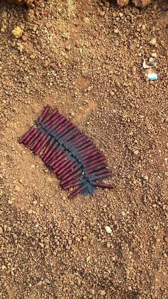 擦炮就得这么玩,替你们试过了,手没事#擦炮玩出新花样