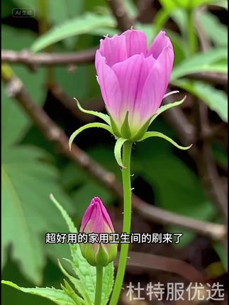 卫生间地刷家用扫把扫帚去污笤帚刮水器地刮两用拖地浴室扫水刮地#好物推荐
