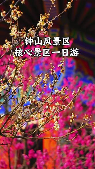 四月正好,来一趟钟山风景区吧! #南京 #旅游攻略 #南京旅游攻略 #南京一日游 #带你旅行