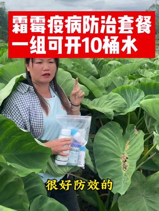 芋头结块中后期,一定要保叶保苗,小惠这组套餐还有增长方案在里面,有需要可以下单带回家#芋头疫病 #芋头疫病防治方案 #芋头疫病防治 #芋头种植 #三农 @灵溪农业(廊田农资批发超市) @惠姐产地严选 @小惠下田讲农技
