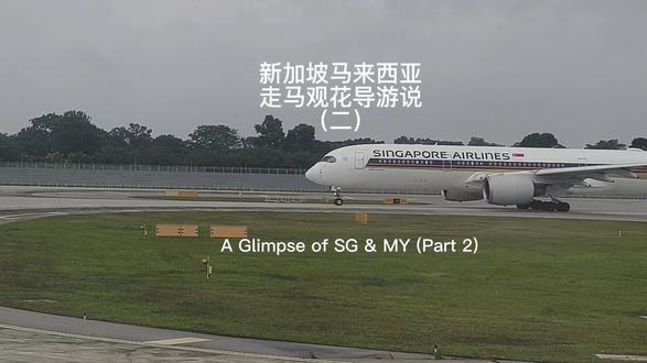 去新加坡马来西亚走走看看,导游如何说#新加坡 #新加坡生活 #马来西亚 #马来西亚女孩 #马来西亚美食