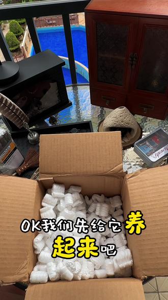 人生中第一次海淘到喽,感谢好哥哥们的教学👌#雪茄 #雪茄生活 #雪茄知识 #雪茄文化