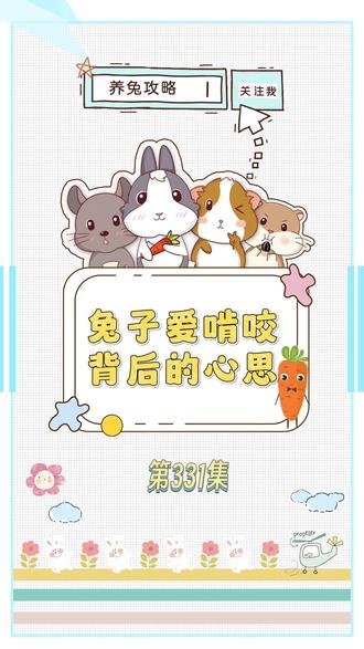 第331集:兔兔爱啃咬背后的心思 #兔兔窝总店 #兔兔窝小课堂 #宠物兔科学喂养 #养兔必看 #养兔新手必备