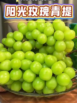 自带玫瑰花香的葡萄🍇你吃过?真的吃一次就沦陷…甜脆甜脆的,还带着淡淡的玫瑰香气,每一次串都是沉甸甸的,颗粒饱满,还是无籽的,一口一个太过瘾了!#阳光玫瑰葡萄 #青提 #晴王阳光玫瑰#谁懂这一口的好吃程度