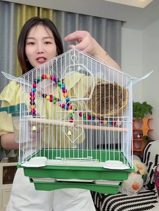 #家用鸟窝 #鸟笼子 #豪华鸟笼 #鸟笼鸟具 #萌宠推荐官