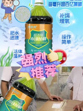 超浓缩种肥水培藻增氧水产养殖黑坑钓场小球藻藻种