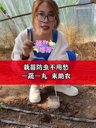 #一蔬一丸#防虫丸#蚜虫蓟马和白粉虱#助力三农