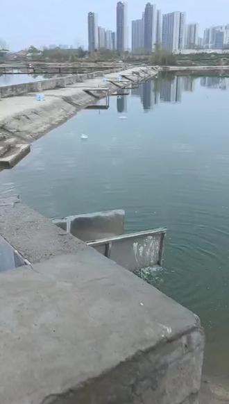 2仓200+条!50个标!