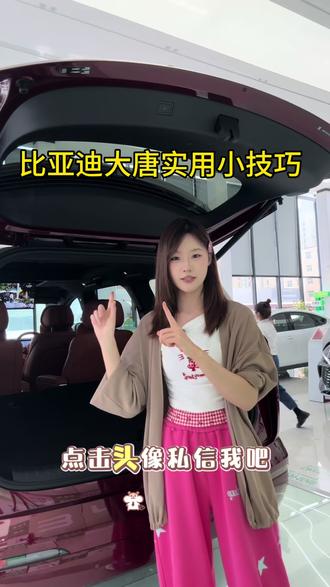 #比亚迪大唐EV 实用小技巧#闪充#比亚迪#dou是好车