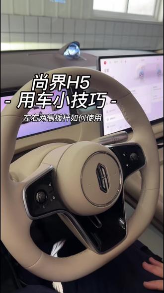 1分钟教会!尚界H5拨杆档位全功能解锁#尚界H5 #用车技巧 #档位操作 #鸿蒙智行