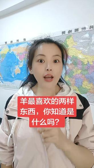 羊最喜欢的两样东西,你知道是什么吗?#养殖 #养羊人 #合牧动保 #养殖人加油 #养殖不易每天记录