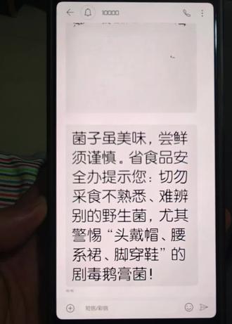 当云南人收到这个短信,叫说明可以上山找菌子了 #云南野生菌短信提醒 #知识分享