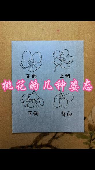 桃花的结构画法来啦!
先画五片花瓣,圆润有尖。
花瓣错落,不要连死。
加上花托,再勾花蕊。
线条轻柔,桃花就画好啦。#零基础学画画 #桃花 #春天请你画朵花