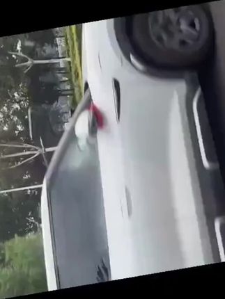 #微章纪念章  #收藏爱好者 #佩戴胸花 #好物推荐🔥 #毛爷爷微章