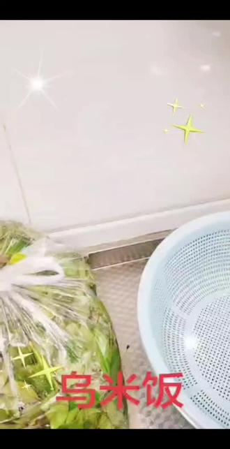 请大家看看我们家的纯手工乌饭制作流程!