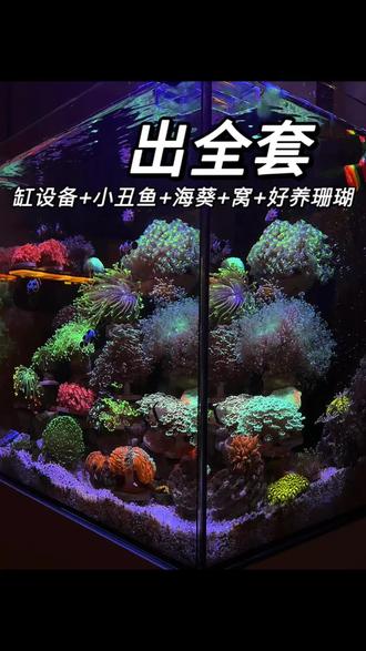 新手从不缺顶尖设备,只缺简单有效的饲养方法,能养活养好的简单 的逻辑,还有在你操作失误时,及时“喊停”的按钮#海缸#海缸日记#养鱼日记#海缸趣事#开缸记录