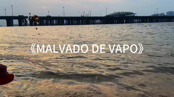 落在生命里的风和光都是好天气#音乐分享 #白菜对我笑 #戴上耳机 来汽水设置手机铃声