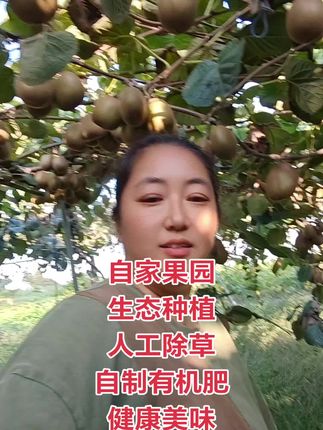 #新鲜采摘 #猕猴桃种植 #优质农产品 #口感特别好 #抖音新农人