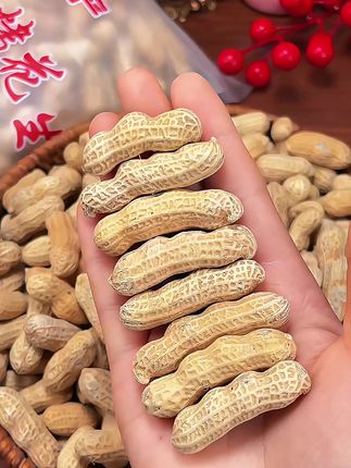 给宝子们推荐一款流口水的花生,采用传统工艺制作,颗颗饱满,粒粒清脆满口的花生香味!#追剧必备零食 #休闲零食推荐 #喝酒搭子#福建龙岩白晒花生#花生