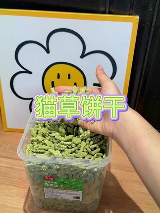 老年猫也能轻松炫!这款猫草饼干护肠又好嚼#猫草饼干#巧小熊#温和排毛#科学养猫