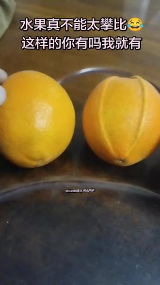 种水果真不能太攀比,就长这样的你们有吗😂#橙子长的特别 #你有这样的吗#水果怎么长成这样#你们见过这样的吗 #这个长的不一般