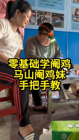 #马山阉鸡妹#阉鸡技术#阉鸡培训 #学习养鸡技术